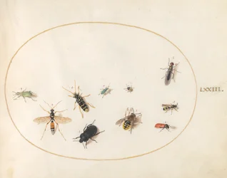 Plate 73: Tien Insecten