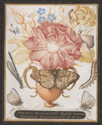 Stilleven met bloemen, een slak en insecten
