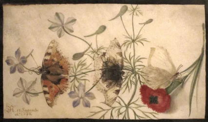 Studies van bloemen en vlinders