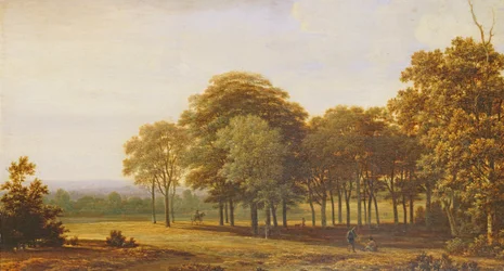 Weg in het bos