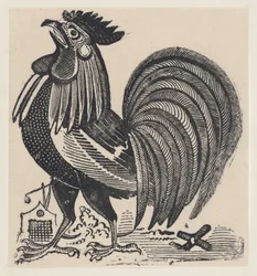 Een haan, ca. 1880-1910