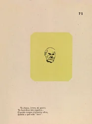 Rijpheid