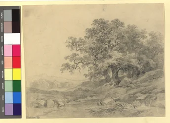 Landschapsstudie