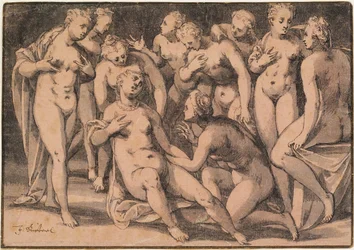 Diana ontdekt de zwangerschap van Callisto