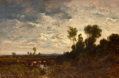 Heidelandschap