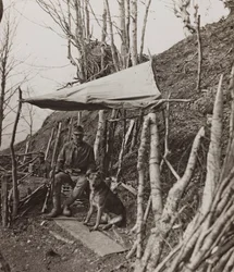 Album "Meine weltkriegs - Erinnerungen Zuidwestfront (Karinthië, Italië, Zuid-Tirol) 31/03/1915-12/11/1918 - Josef Zohles Wien": militaire hond onder een tent