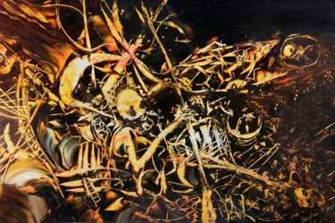 Oorlogsparoxisme