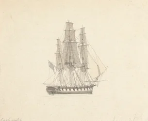 Enkelvoudige hermafrodiete brig