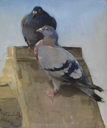 Duiven op het dak