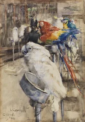 De Volière, Clifton