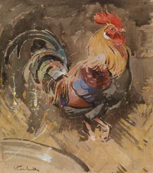 De Minorcaanse haan