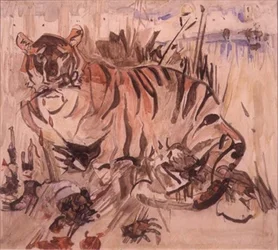 Tijger