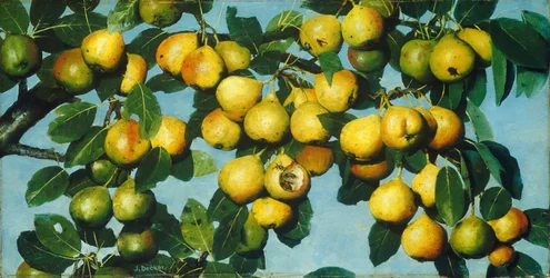 Rijpe Peren