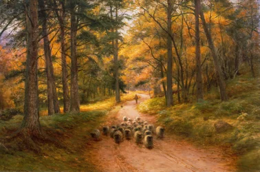 Op weg naar huis