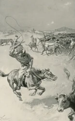 Veedrijven in Queensland