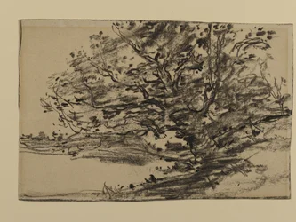 Studie van bomen, 1870