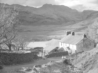Boerderij (in de Langdales) met vrouw en honden die kijken naar eenden en boerderijgebouwen erachter