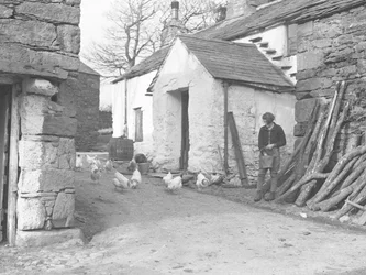 Landmeisje dat pluimvee voert op een boerderij in Ulpha in de Duddon Fells