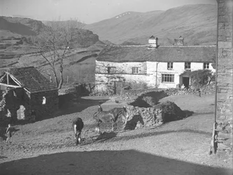 Drie jonge jongens kijken naar paarden op het erf van Kentmere met boerderij en heuvels erachter