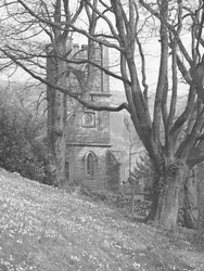 Gezicht op een kerk; architectuur; religieus; kerkelijk; toren door bomen