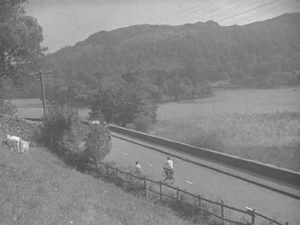 Zicht op een weg langs Rydal Water, met mensen op de fiets, vee en heuvels