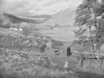 Uitzicht op de velden en heuvels van Bannisdale