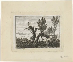 Landschap met knotwilgen
