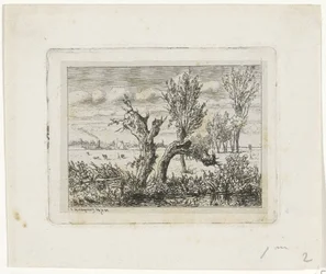 Landschap met knotwilgen