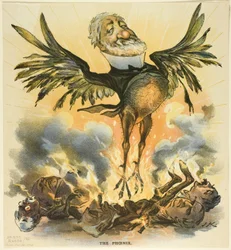 De Feniks, van Puck