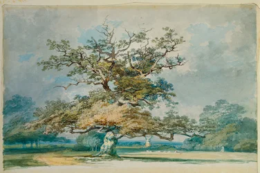 Een landschap met een oude eik