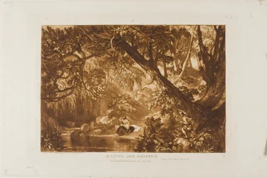 Aesacus en Hesperie, plaat 66 uit Liber Studiorum