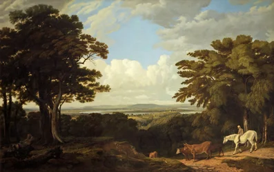 Newnham-on-Severn, Gloucestershire, vanaf Dean Hill