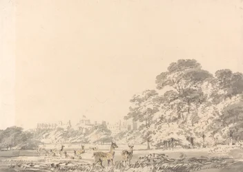 Windsor Castle en Park met herten