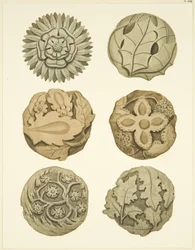 Gewelfstenen (bossen) in het plafond van de Redcliffe Church