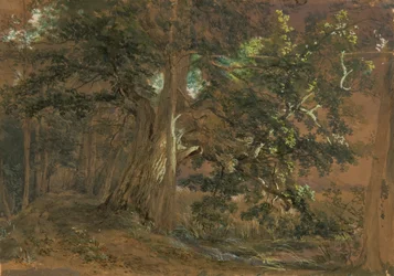 Bosinterieur bij Lundenburg (Esdoorn groep bij een bergmeer)