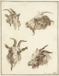 Vier studies van geitenkoppen