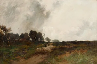 Oversteek van de heide