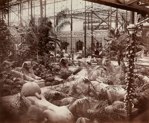Het Crystal Palace in Londen: de tropische afdeling, ca. 1870