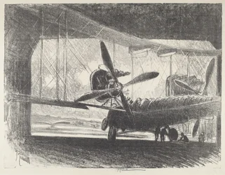 De grote kever, 1916