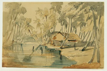 Palmenbos op Ceylon (Sri Lanka)