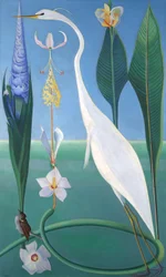 De witte reiger