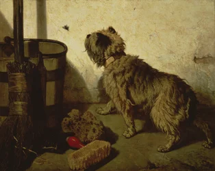 De hond en de vlieg, 1856