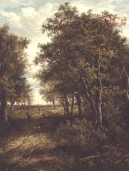 Een Open Plek in het Bos