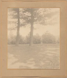 Landschap met bomen, ca. 1900