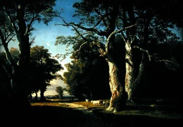Landschap met bomen en vee