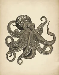 Elegante vintage octopus