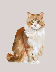 Portret van een pluizige gemberkleurige kat