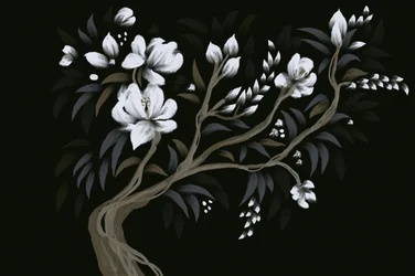 Nachtbloesemboom