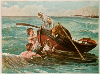 Honden in een boot, 20e eeuw (illustratie)