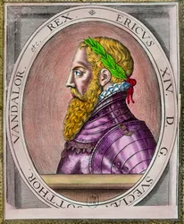 Eric XIV van Suede